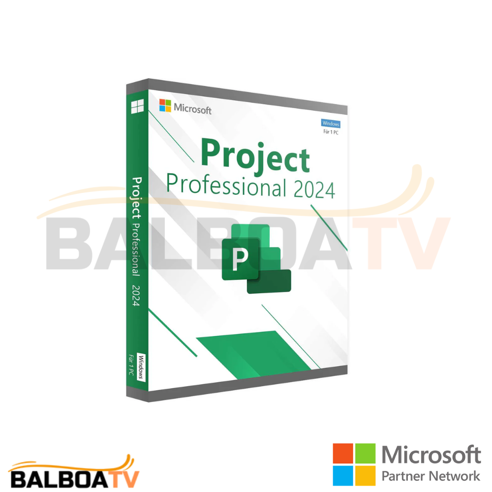 Microsoft Project Professional  2024